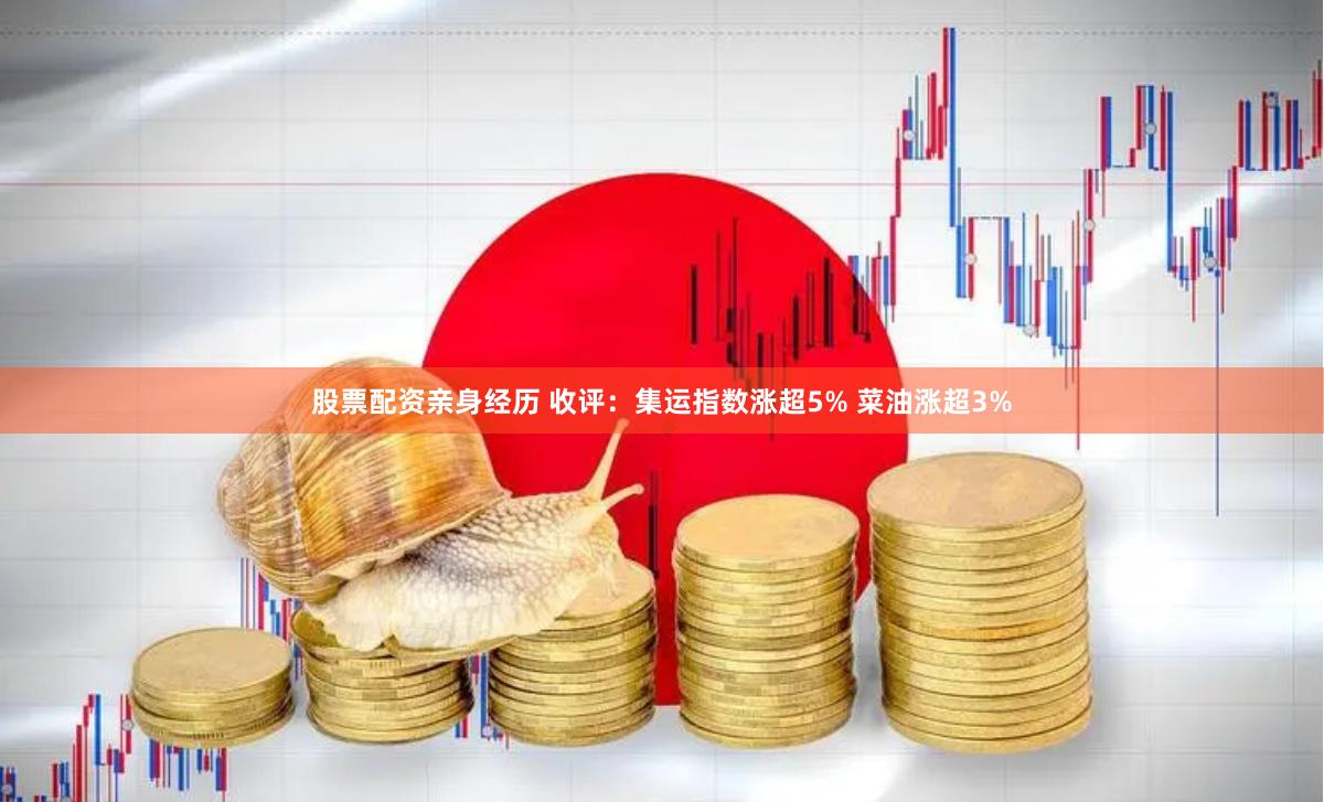 股票配资亲身经历 收评：集运指数涨超5% 菜油涨超3%